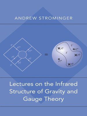 cover image of Lectures on the Infrared Structure of Gravity and Gauge Theory